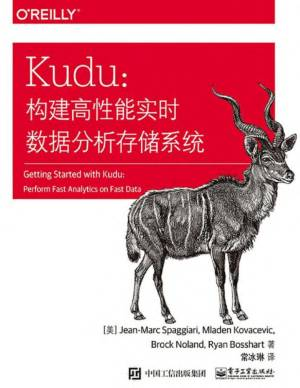 Kudu：构建高性能实时数据分析存储系统 (（美）吉恩-马克·斯帕加里（Jean-Marc Spaggiari）等 著).pdf 封面