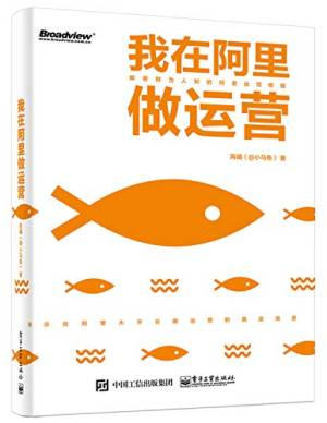 我在阿里做运营 (芮曦).pdf 封面